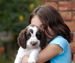 Kinderen en honden - Kampen